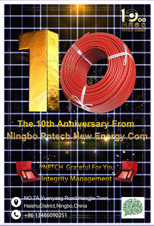 Latest company news about De 10de verjaardag van NIingbo PNtech